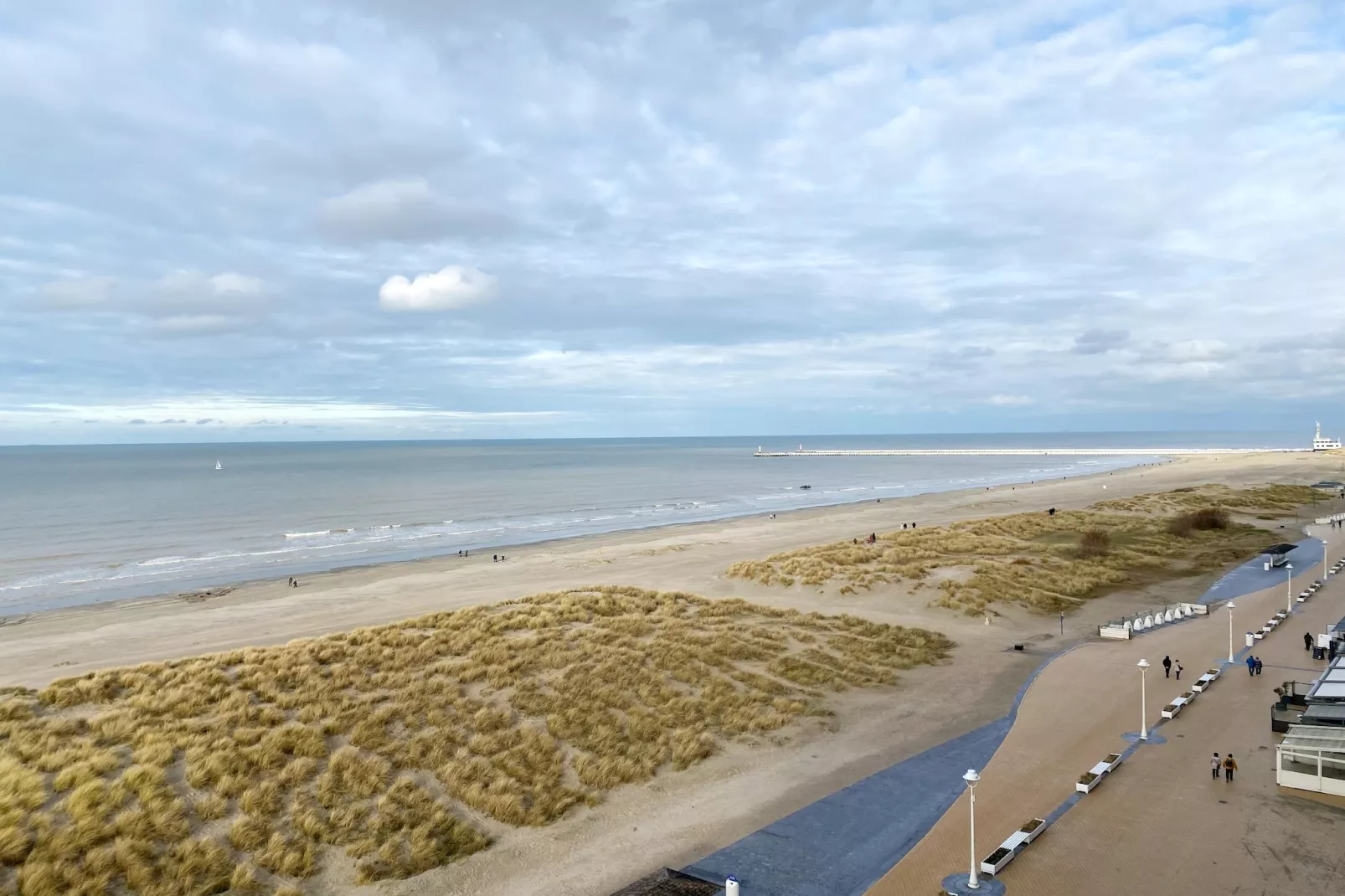 SUNFLOWER 0705GAR-Gebieden zomer 1km