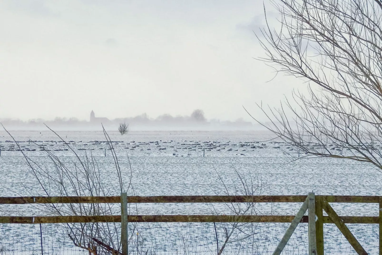 227168-Gebieden zomer 1km