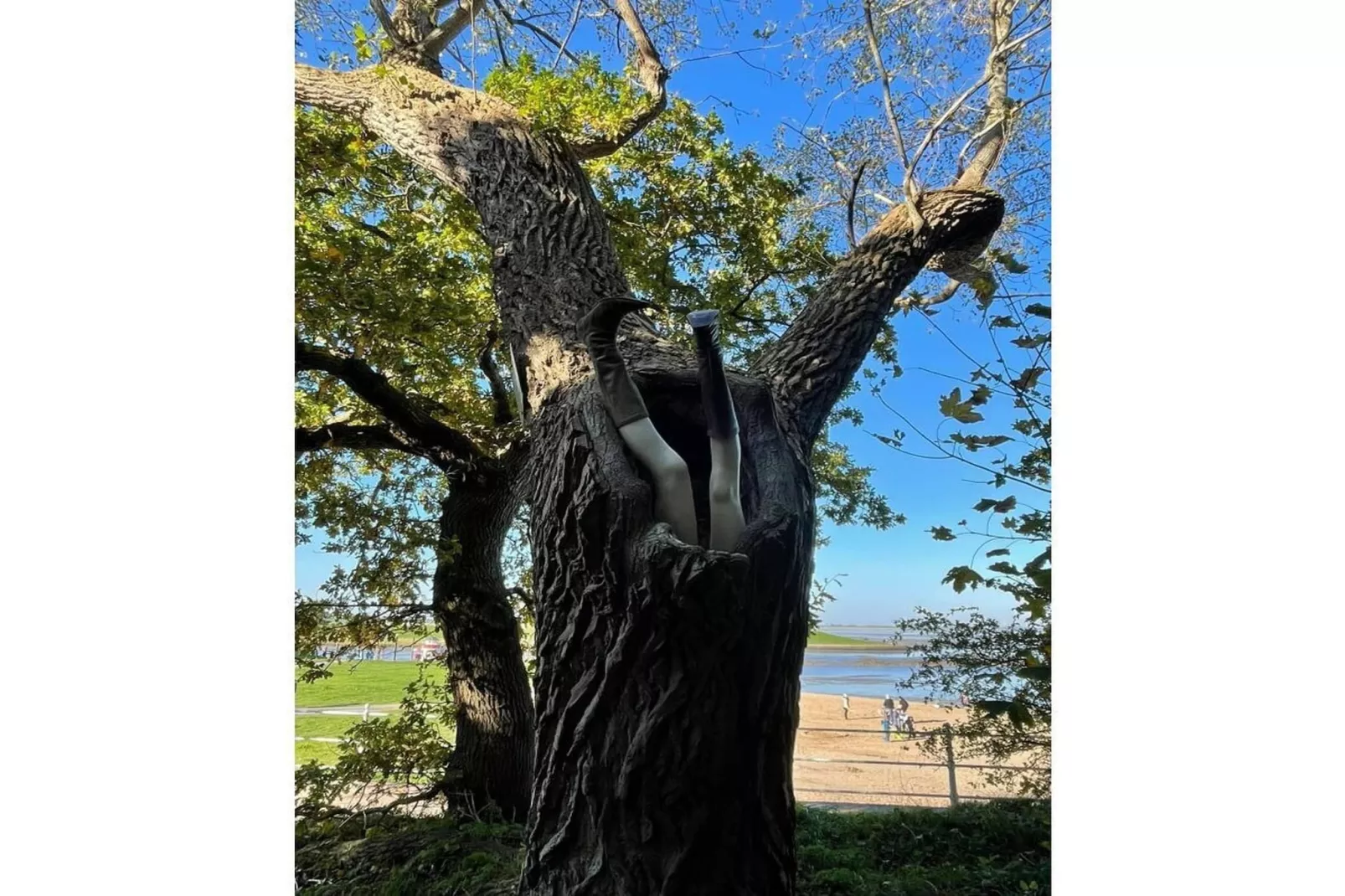 352708-Gebieden zomer 5km