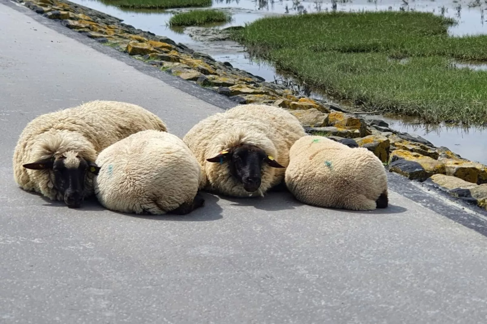 292612-Image-tags.water view