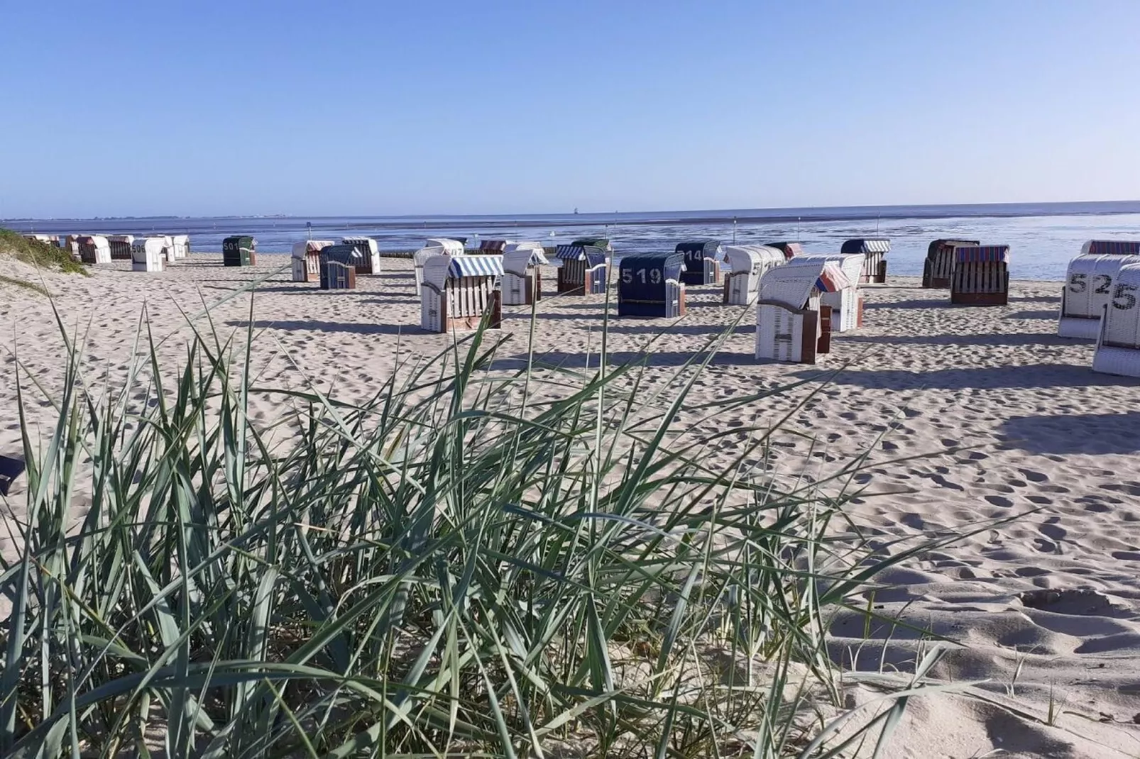 26681-Gebieden zomer 5km