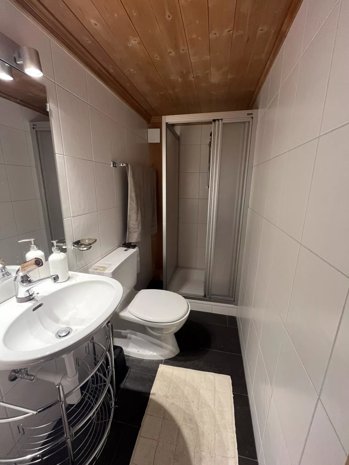 Hivernants Le Premier-Binnen