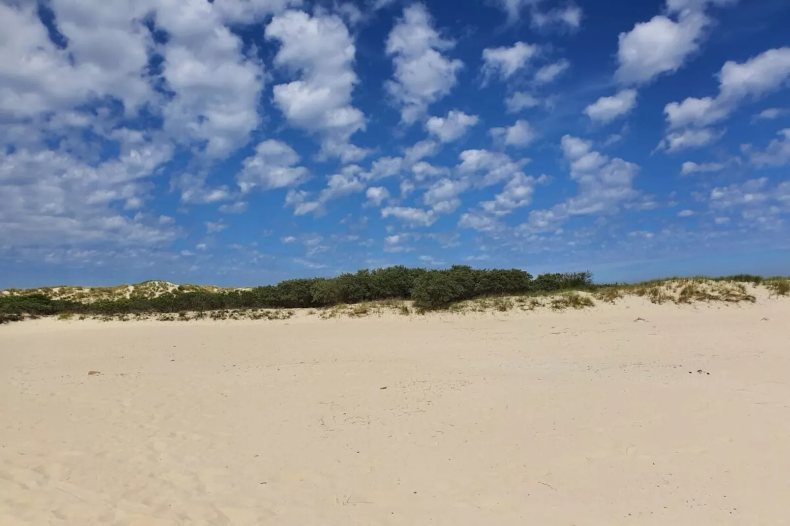 315546 - Image-tags.water view