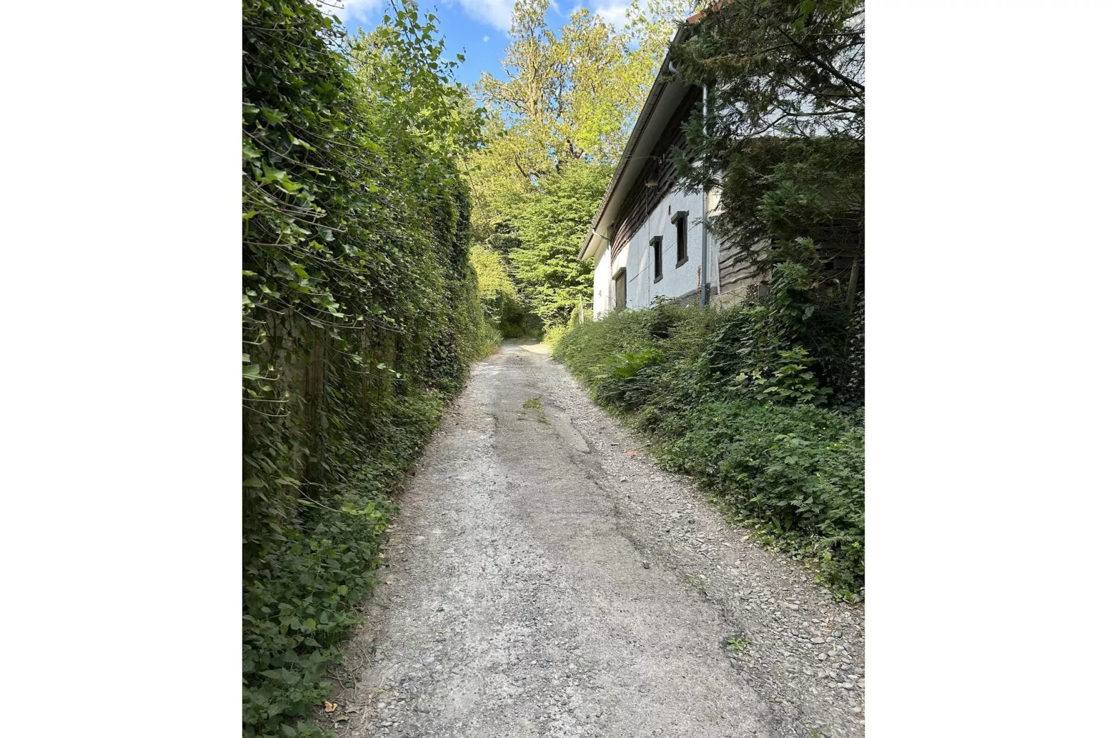 L'Ecureuil Blanc - Gebieden zomer 1km