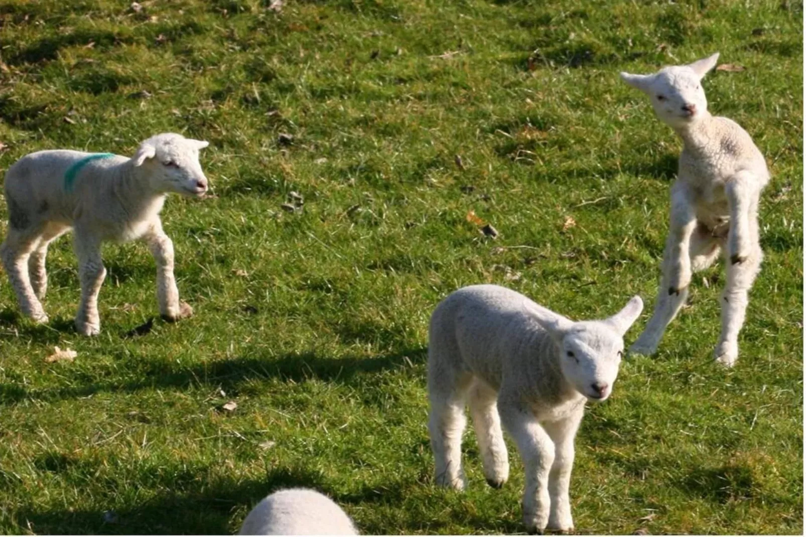 604284 - Buitenkant zomer