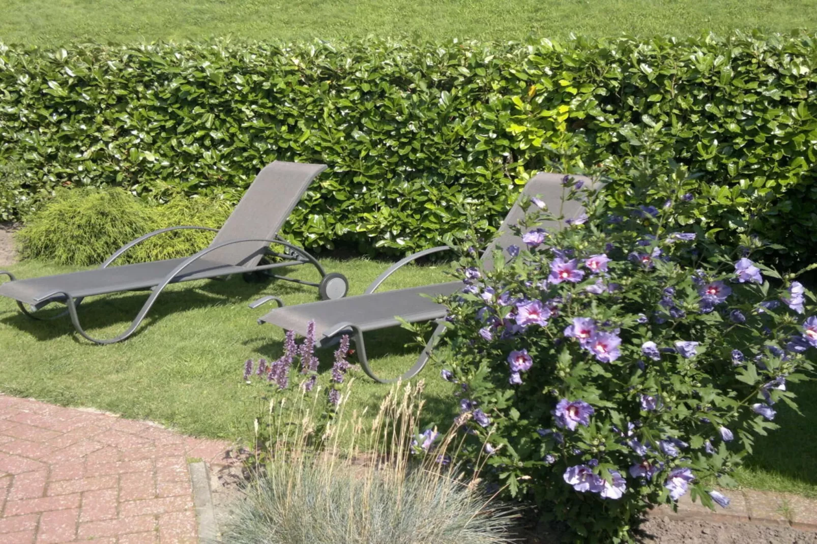 703967 - Tuinen zomer