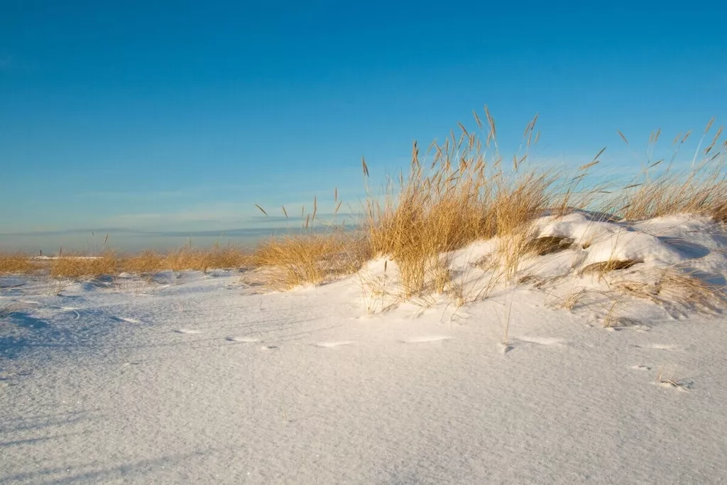 273134 - Niet-getagd