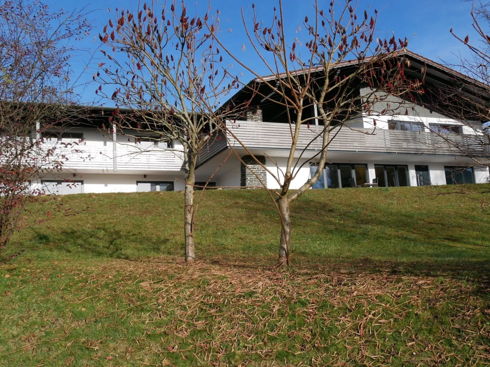 BayVista, die Bayerwald Lodge - Image-tags.info