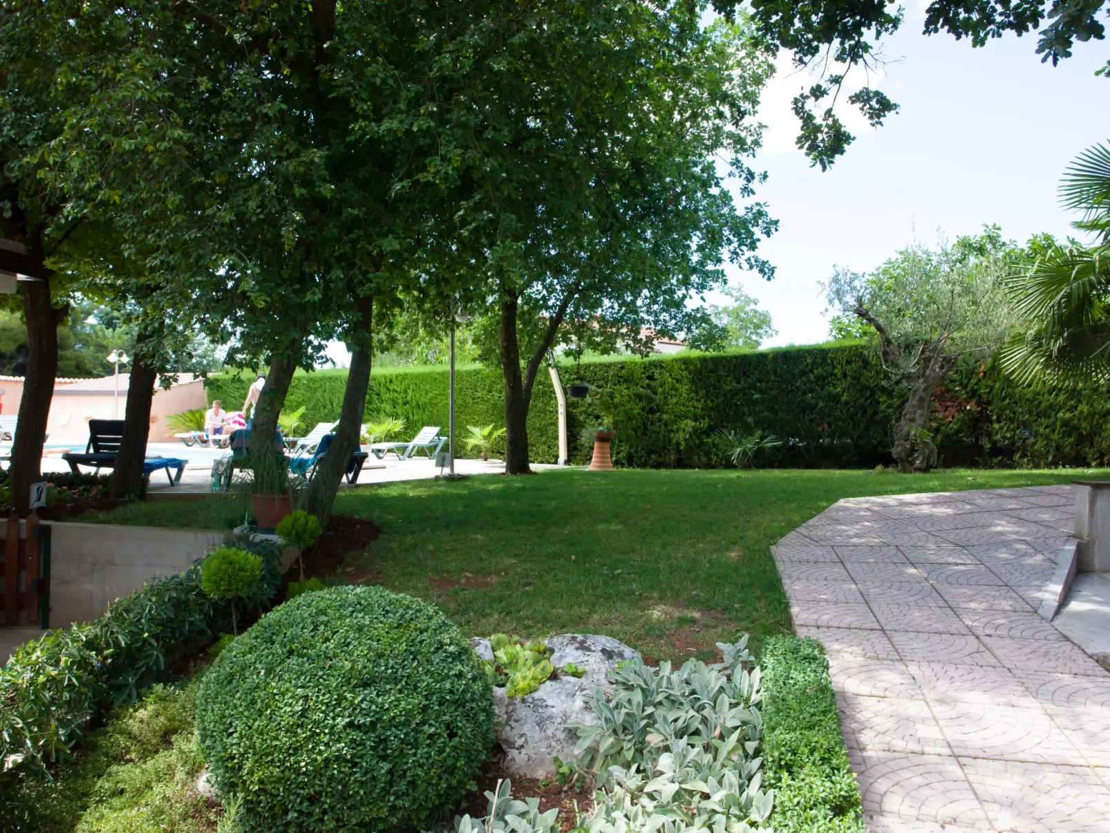 Felix - Image-tags.info