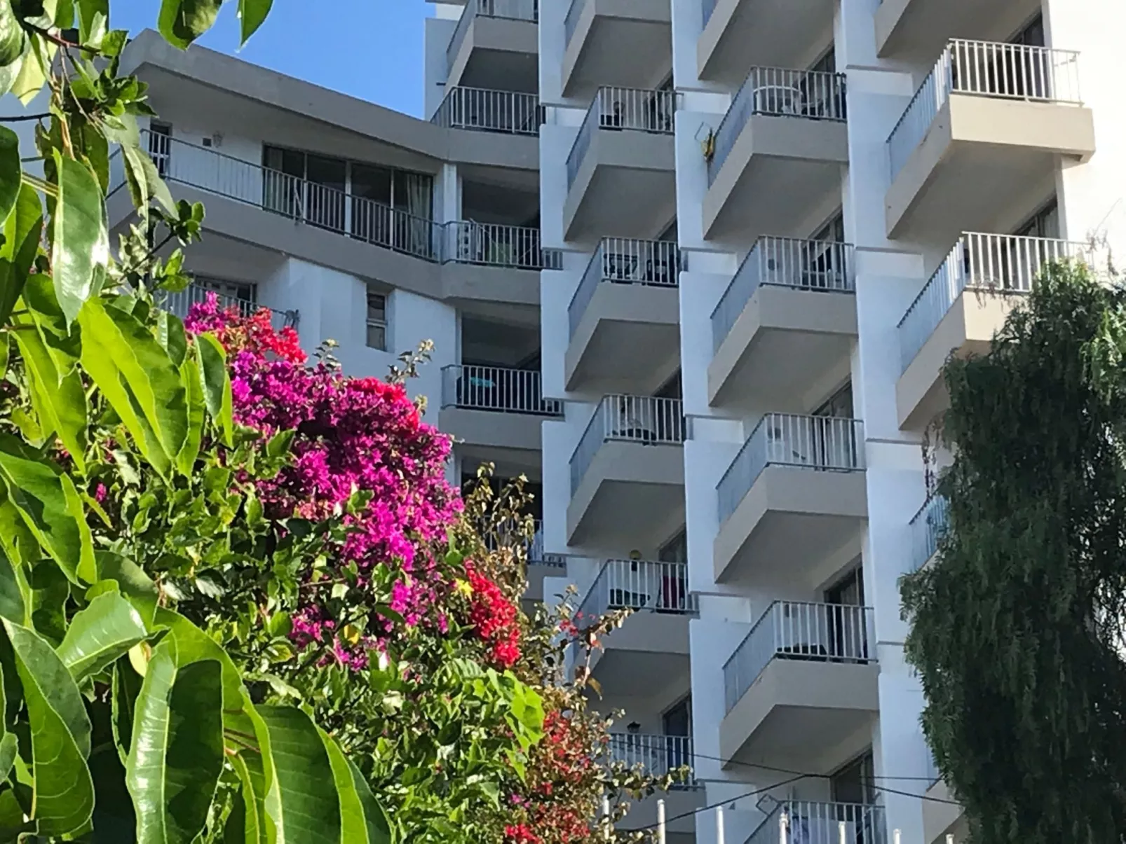 Mit Blick auf das Wasser - Image-tags.info