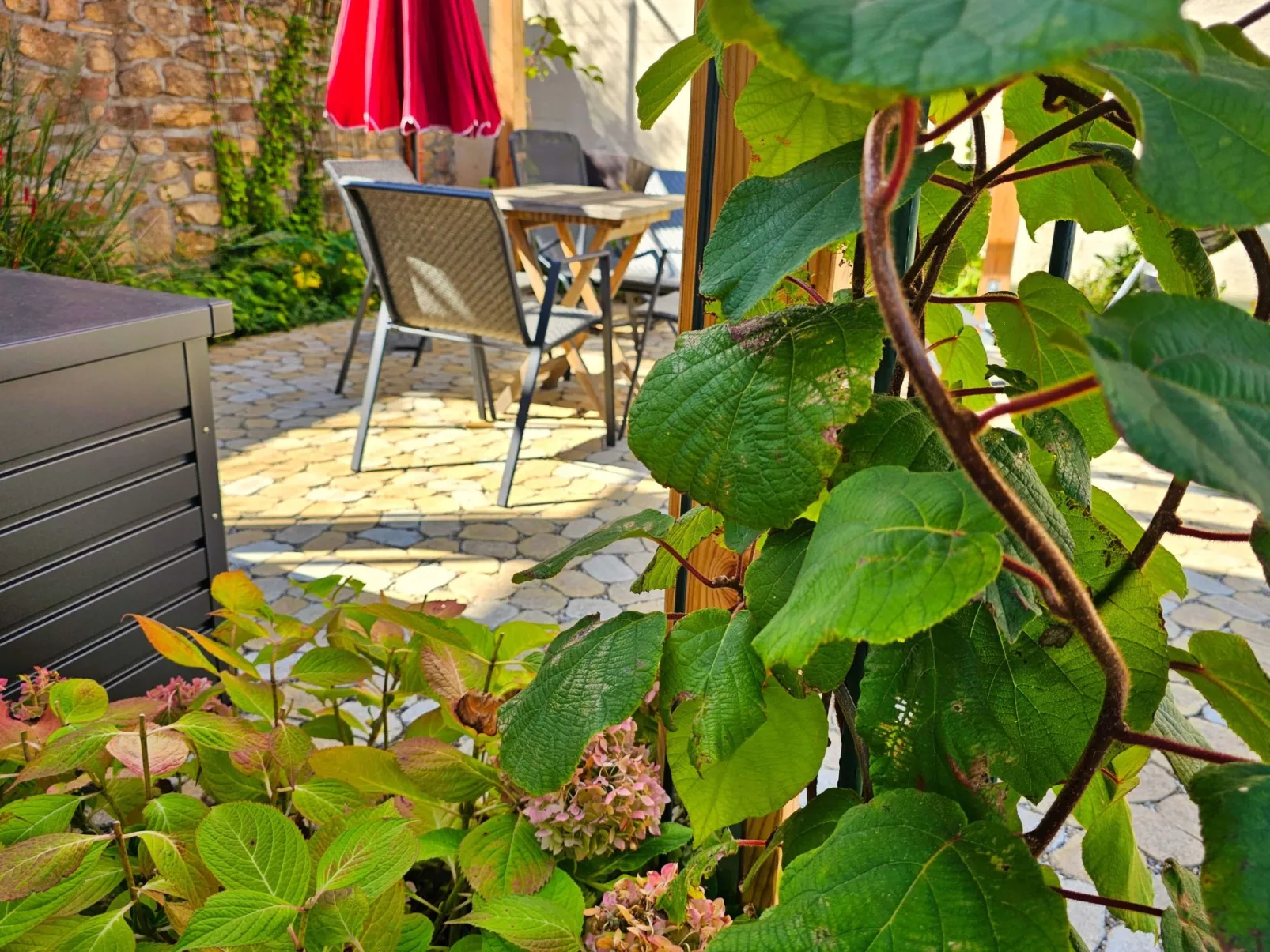 Kiwihof - Image-tags.info