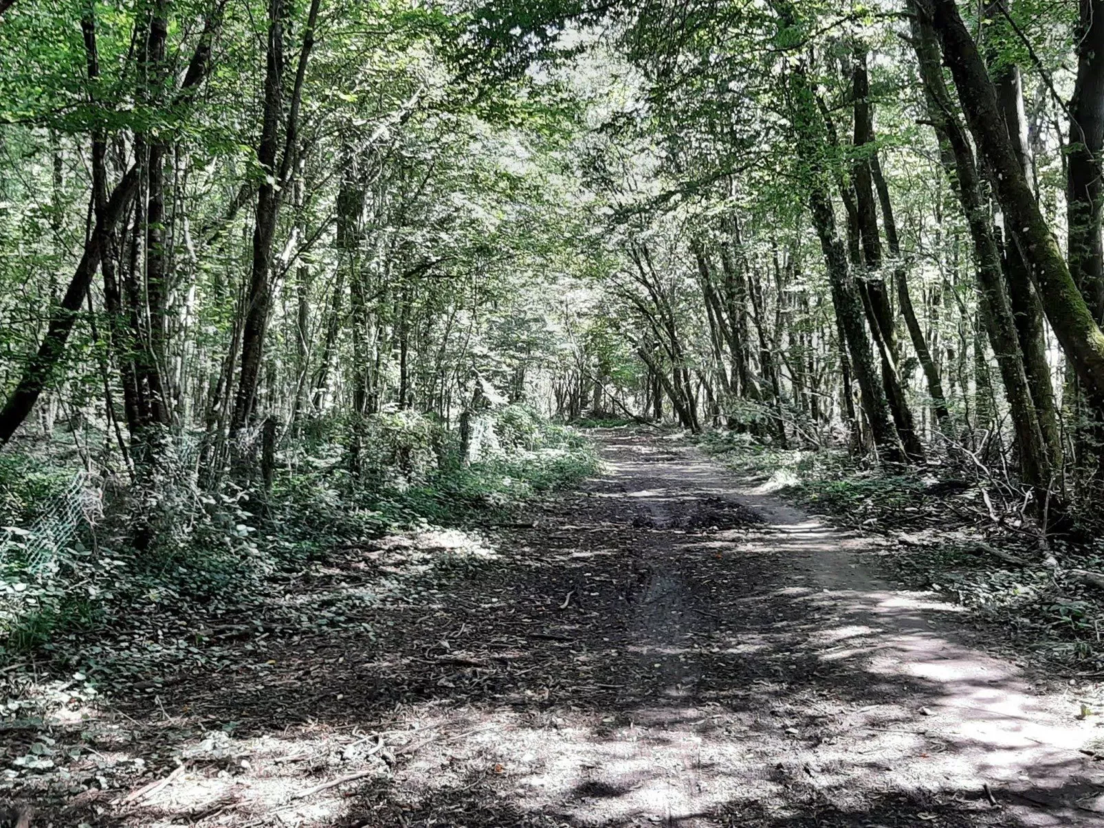 Fachwerkhaus "Charme - Image-tags.info