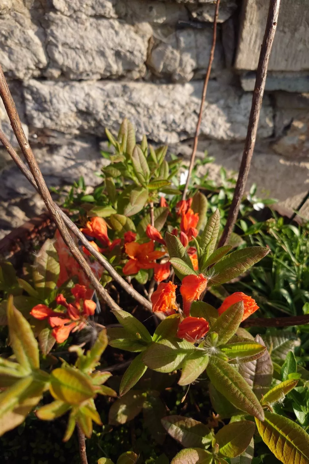 Kerstin - Image-tags.info