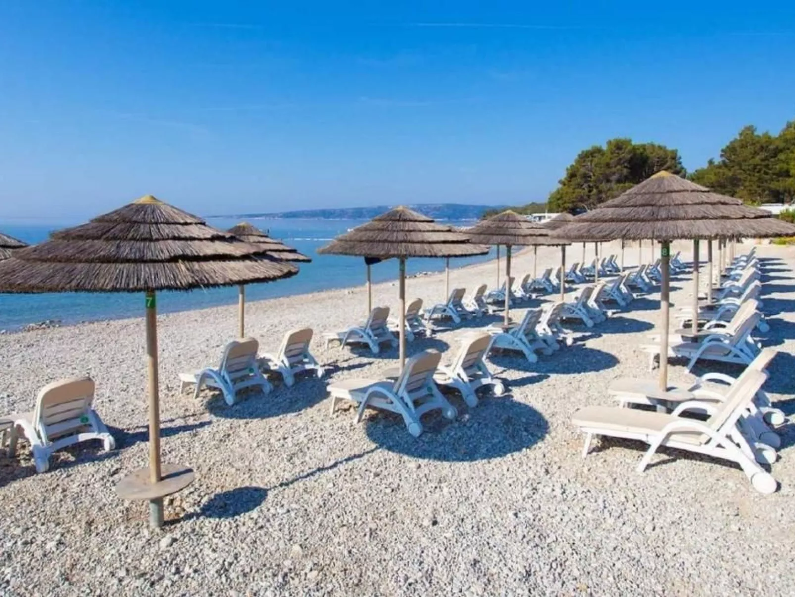 "Willheim" - Image-tags.info