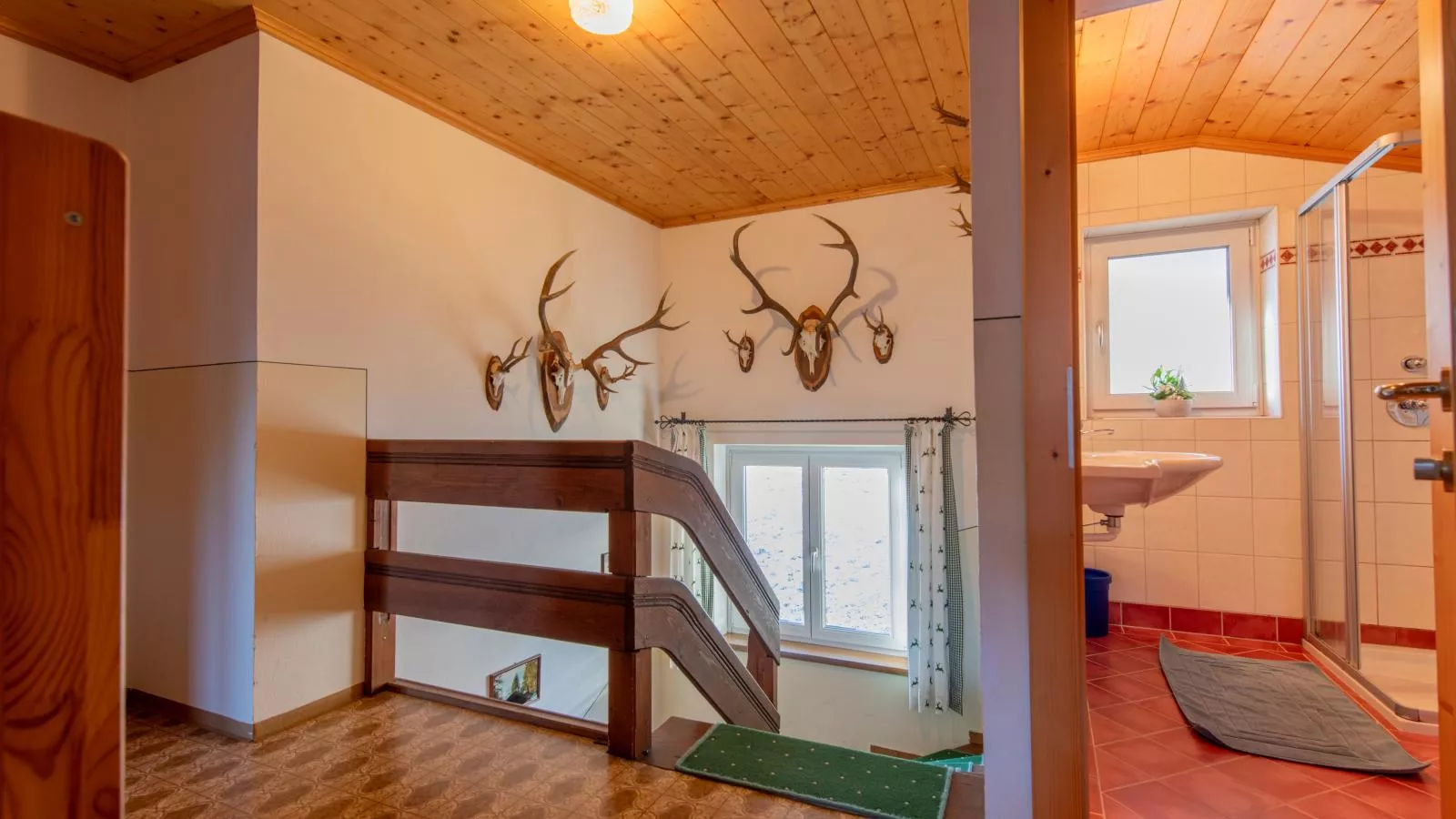 Pehambauer S - Overloop