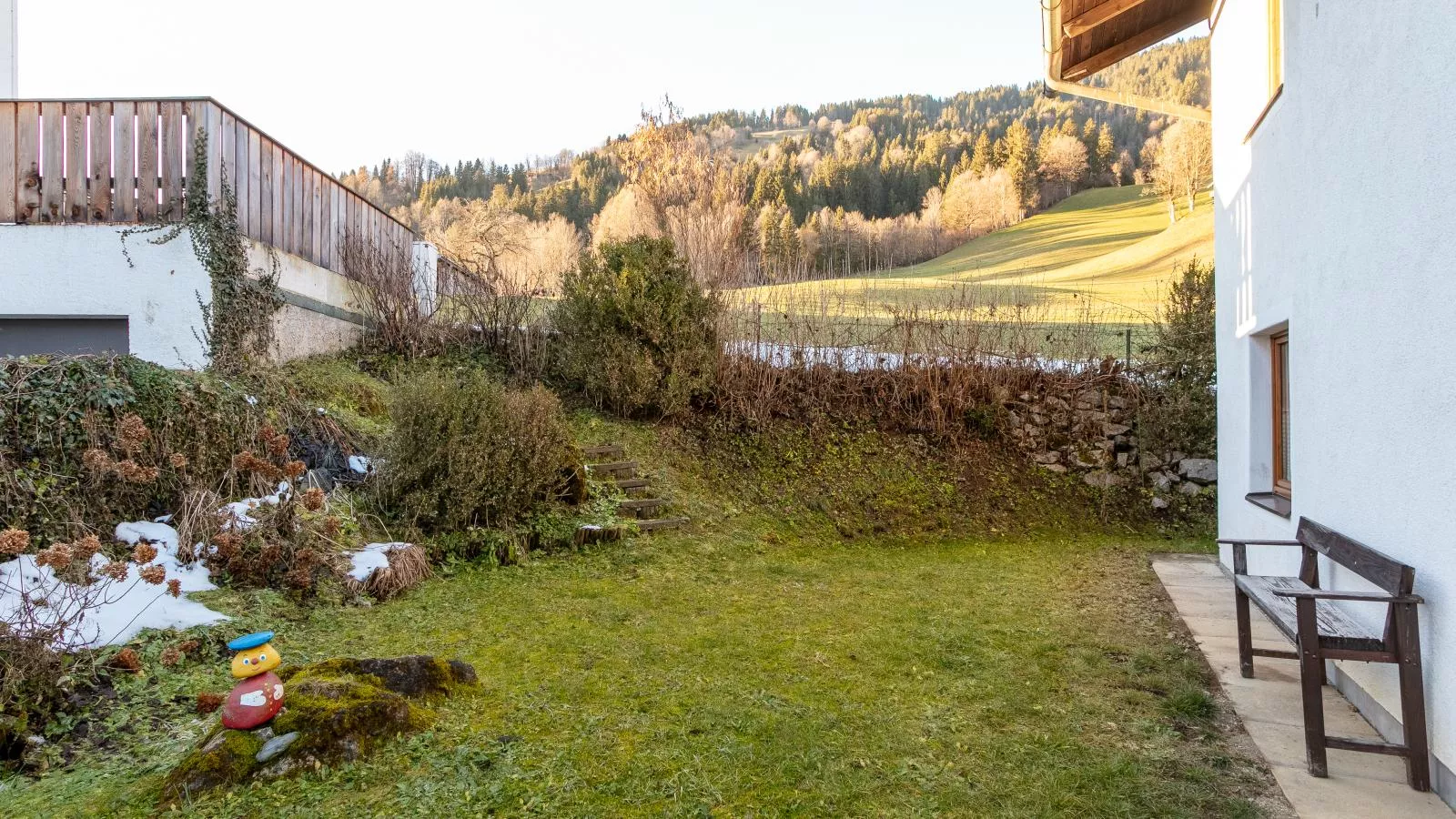 Wildrose I - Tuin winter