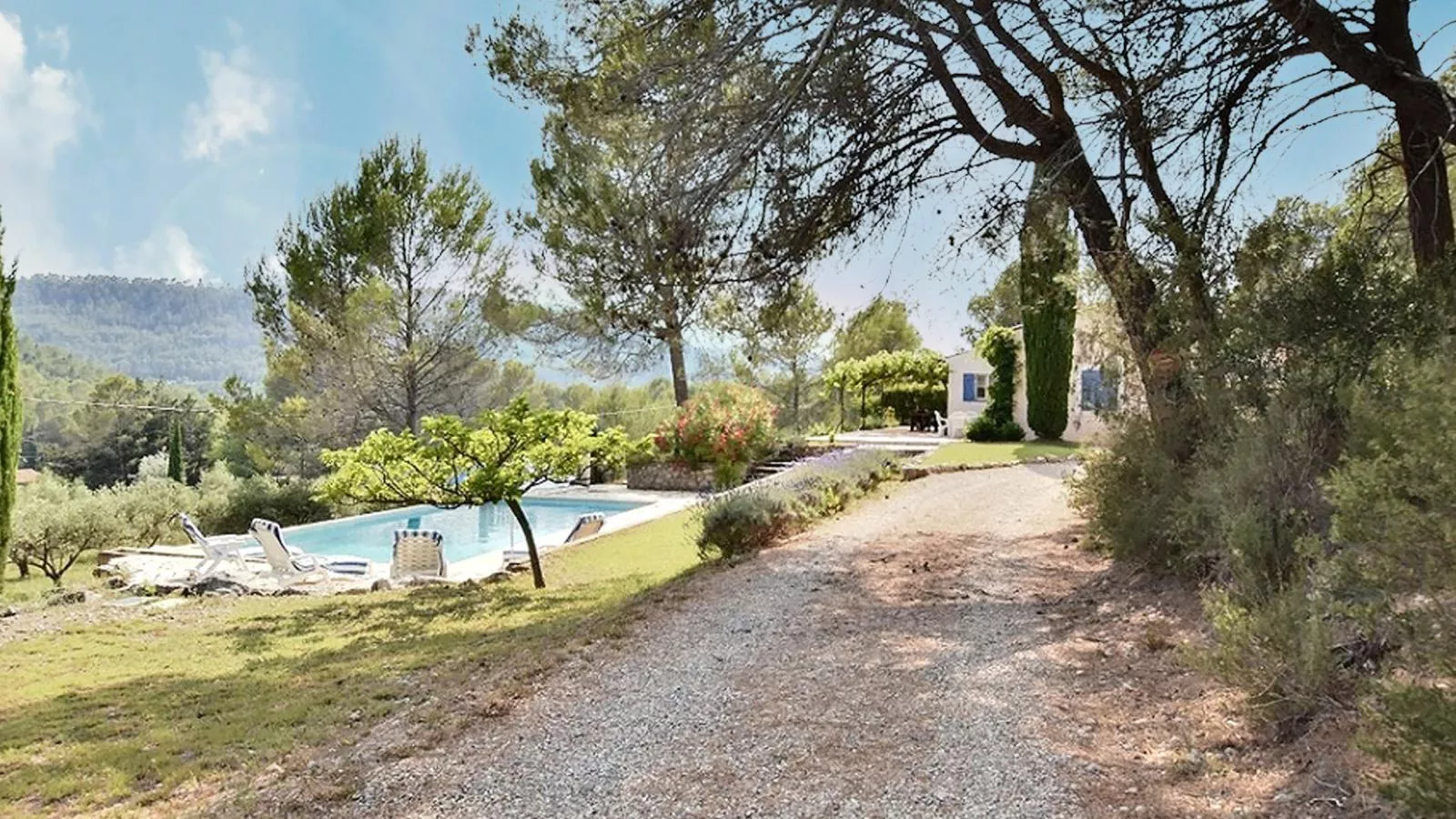 Lomandra - Tuinen zomer