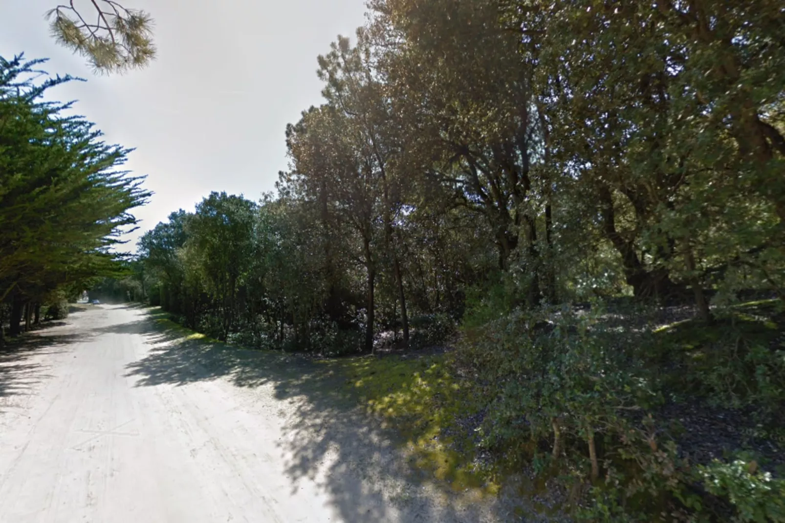 Villa Russie - Domaine Le Sherwood-Buitenkant zomer