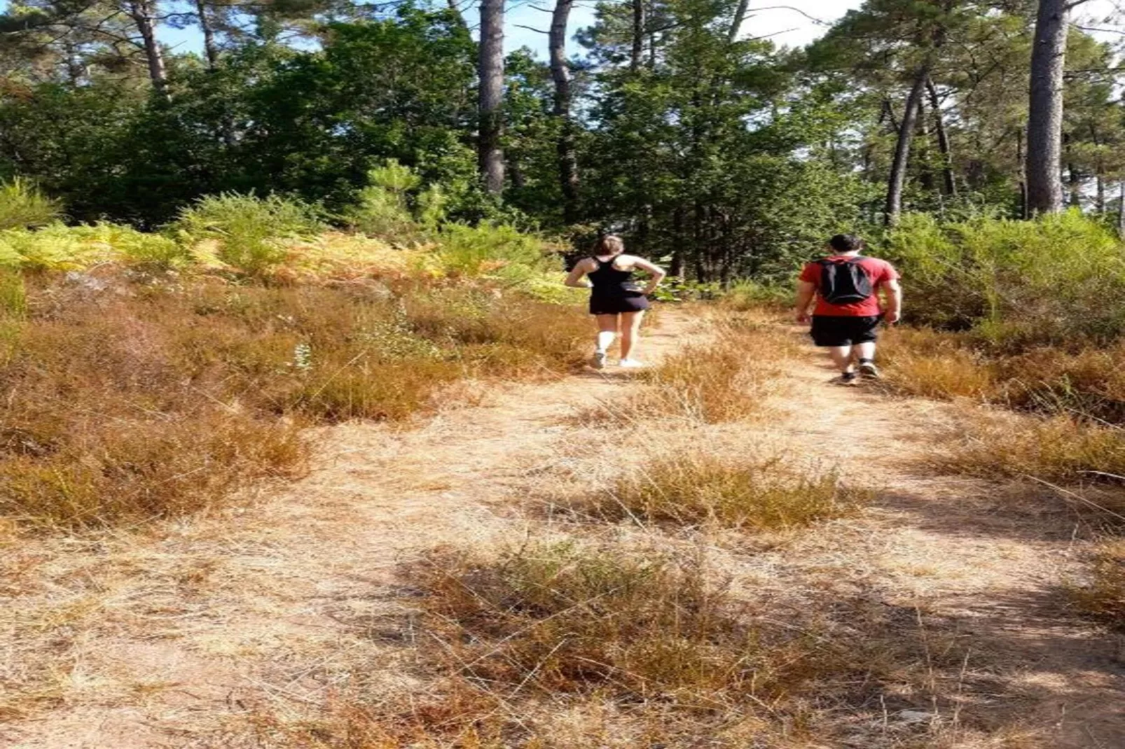 Domaine de Gavaudun - Maison Guyenne-Gebieden zomer 5km