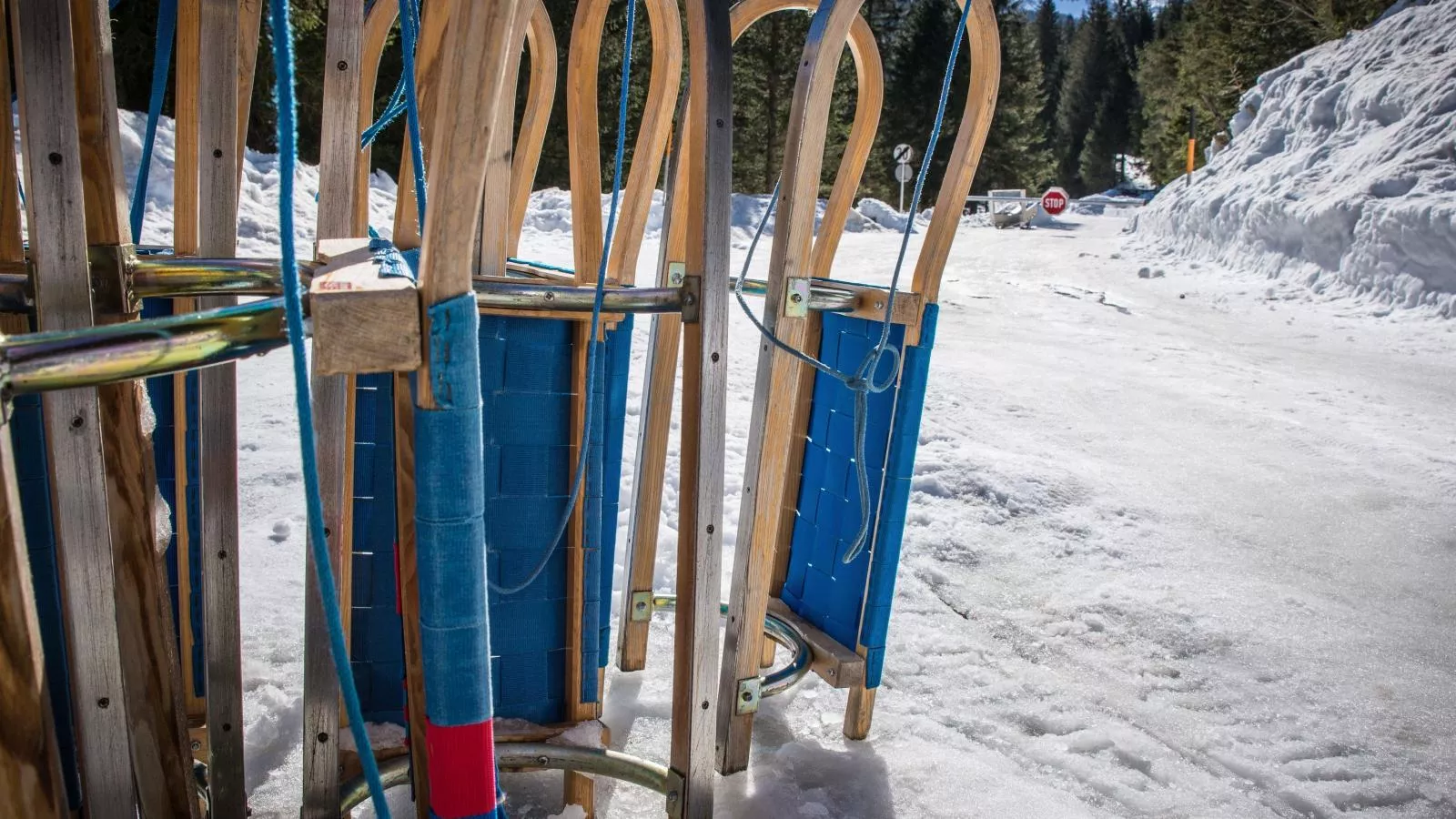 Barney-Gebied winter 1km