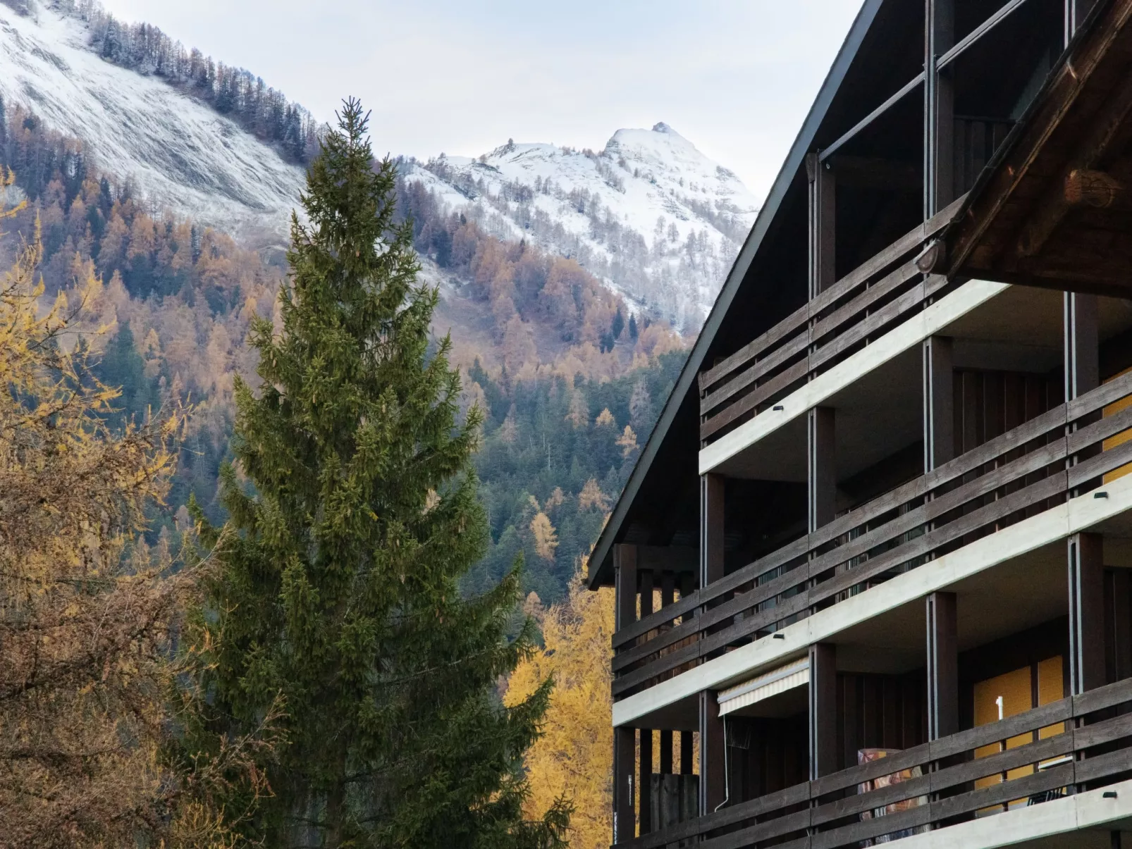 Centaure B RS 2-Buiten