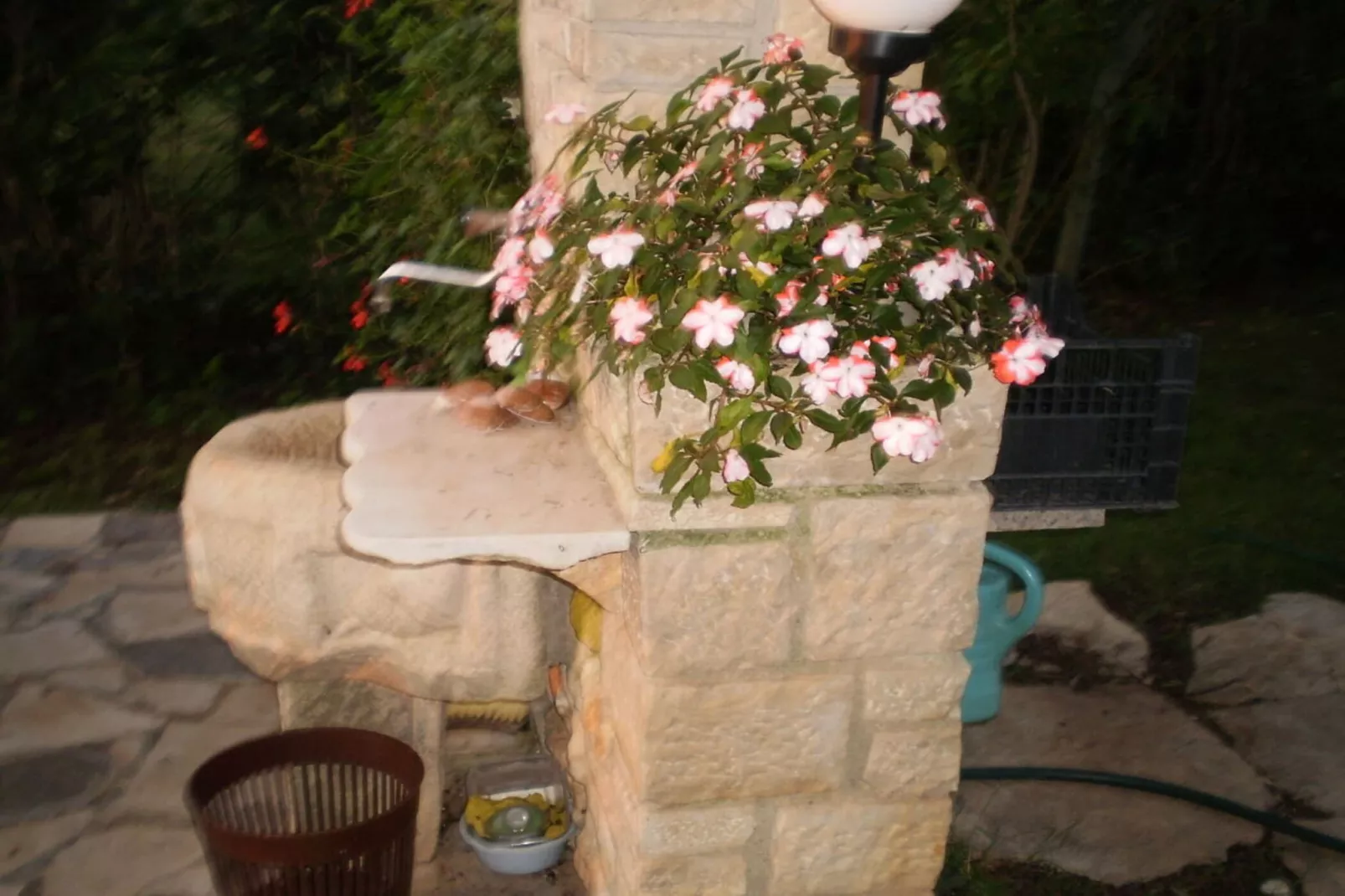 Licul Modern retreat-Tuinen zomer