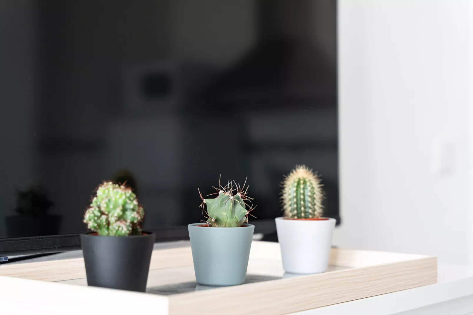 CT 301 - Faro's Fuengirola Centro Studio-Sfeer