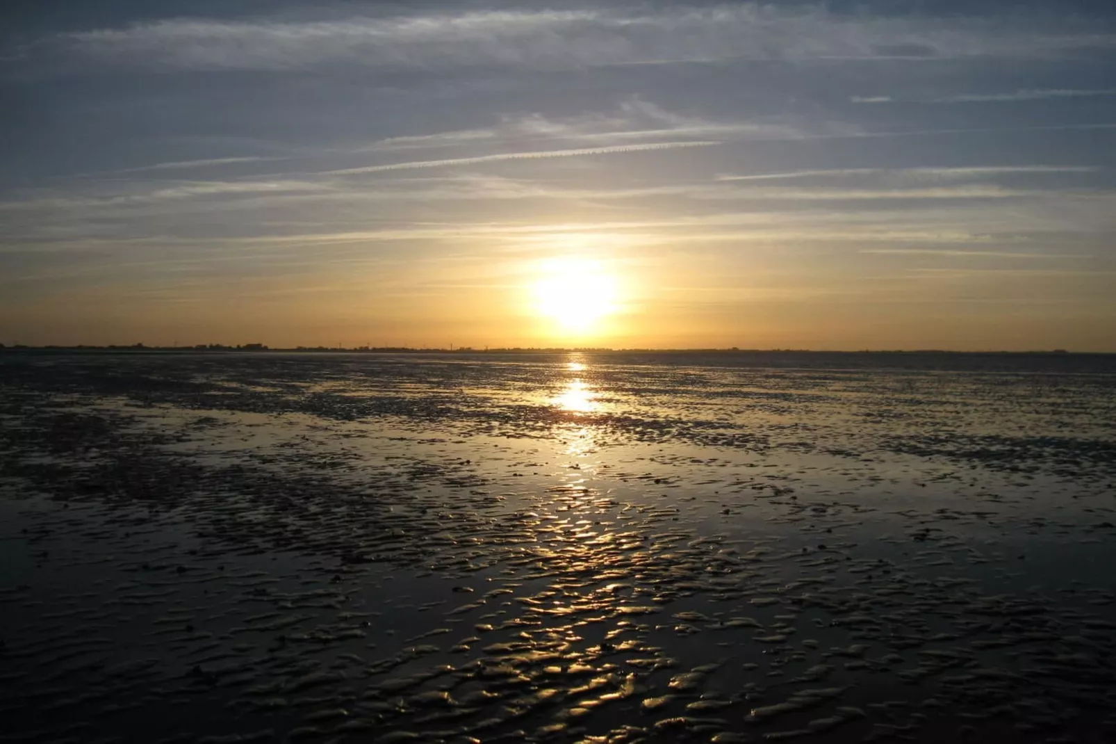 26681-Gebieden zomer 5km