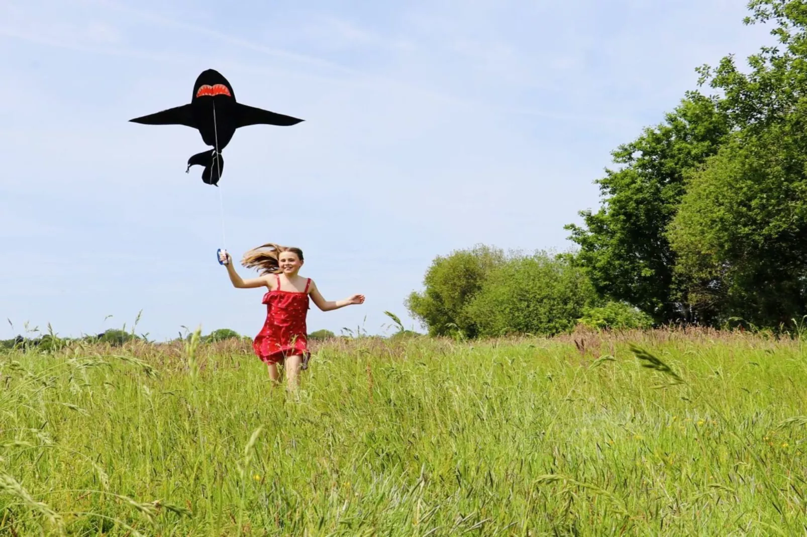 218583-Gebieden zomer 5km
