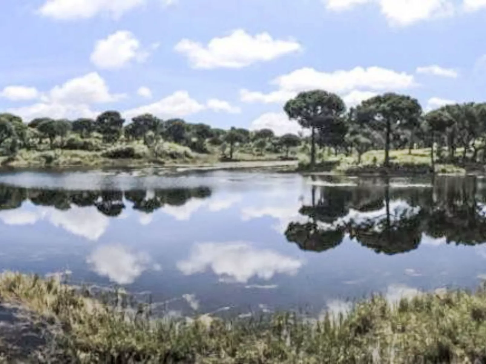 Villa Cegonha-Buiten