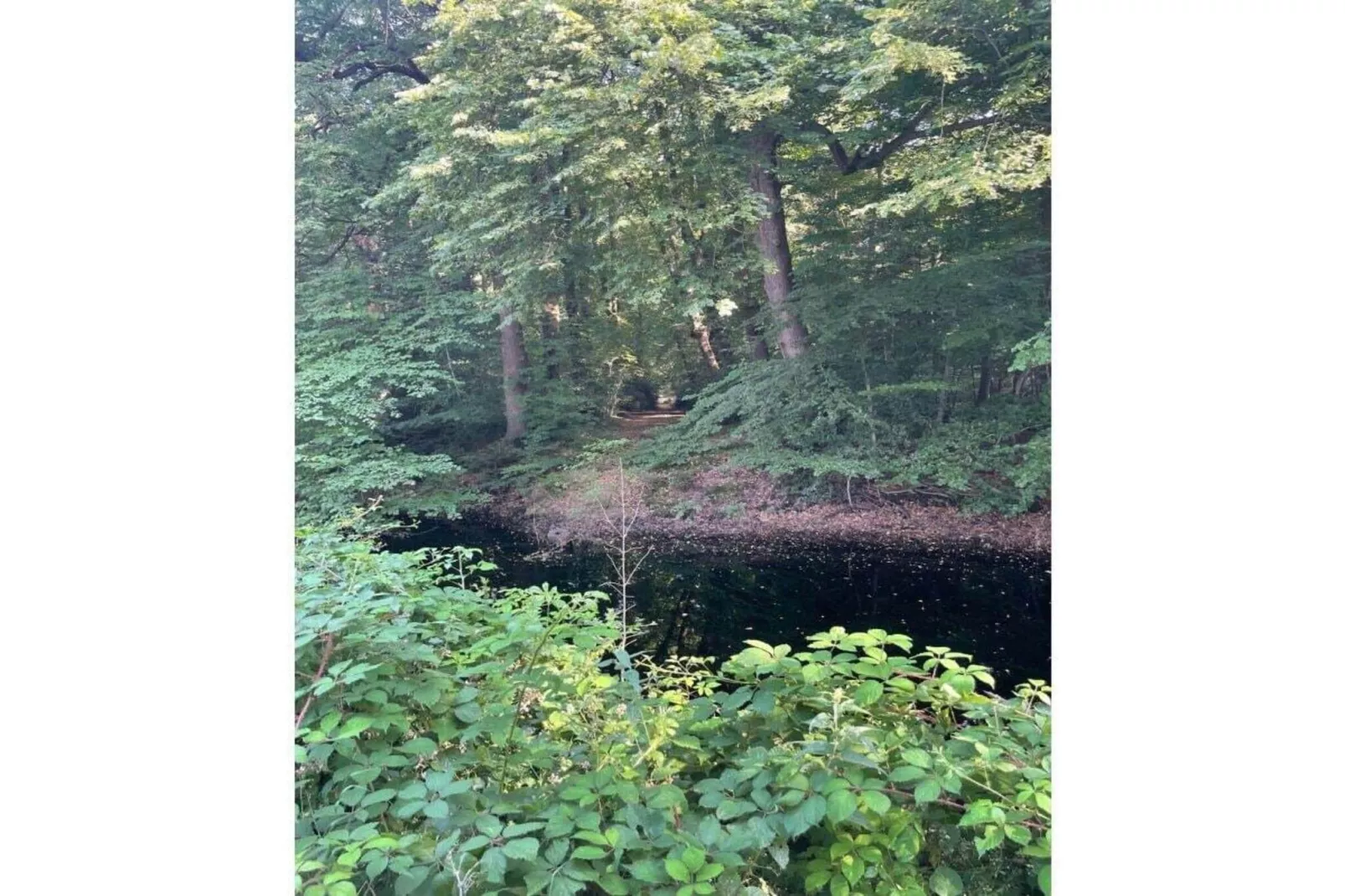 515868 - Image-tags.water view