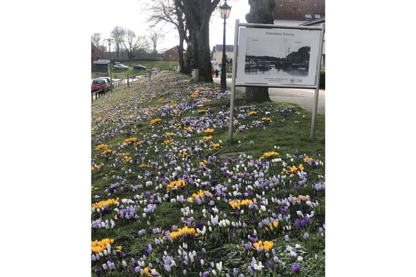 589224-Gebieden zomer 1km