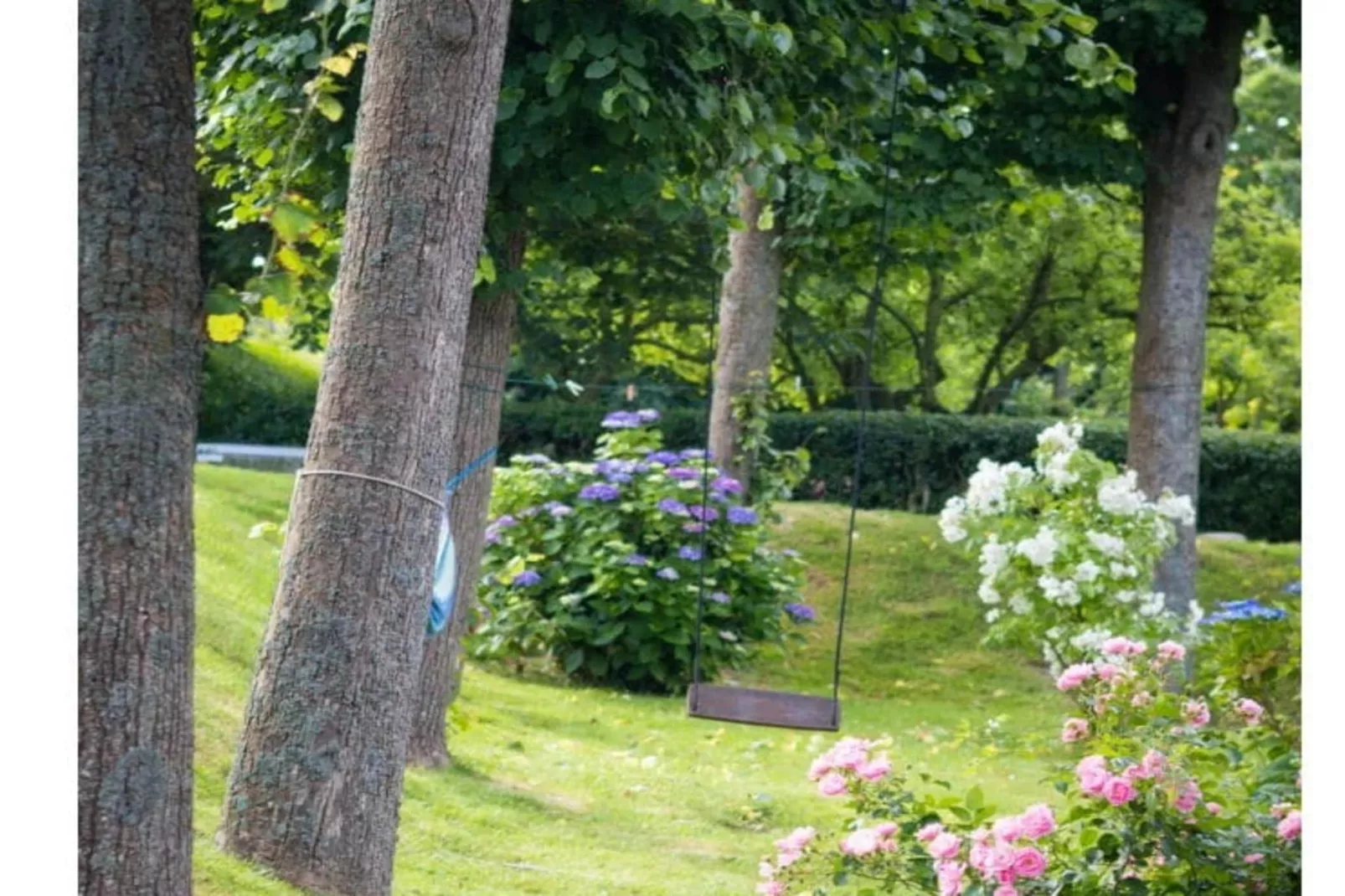 573535 - Buitenkant zomer