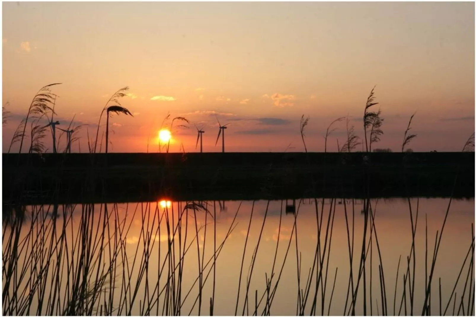 604282 - Image-tags.water view