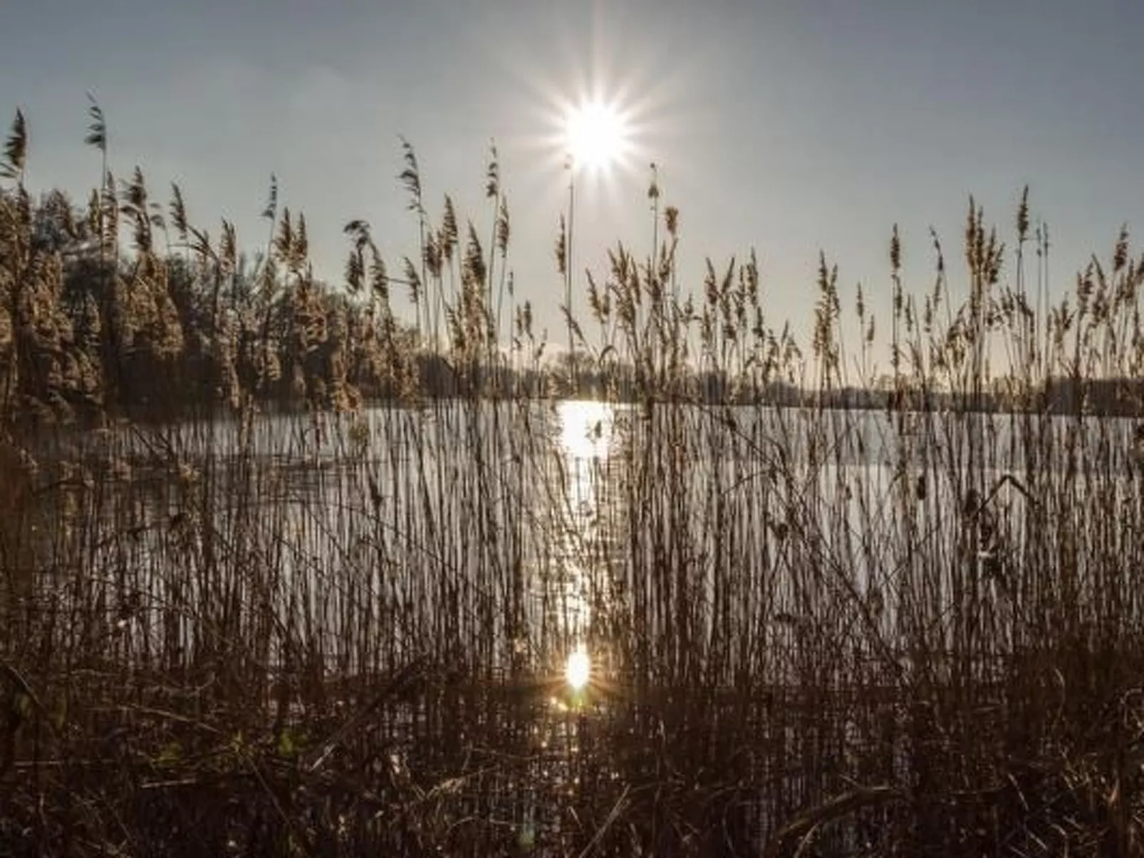 Mit Fasssauna-Buiten