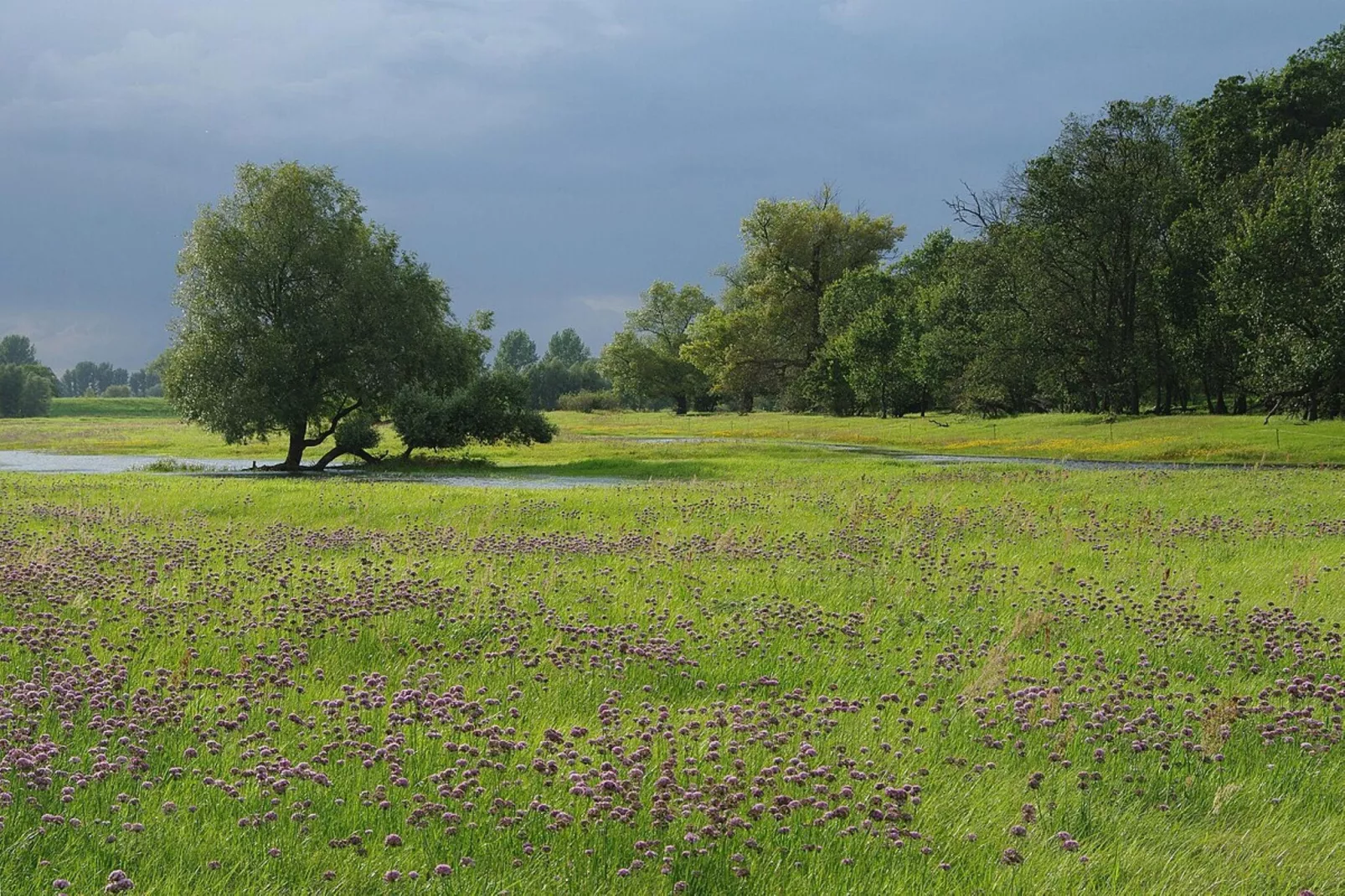 Jeamai’s Pension-Gebieden zomer 5km