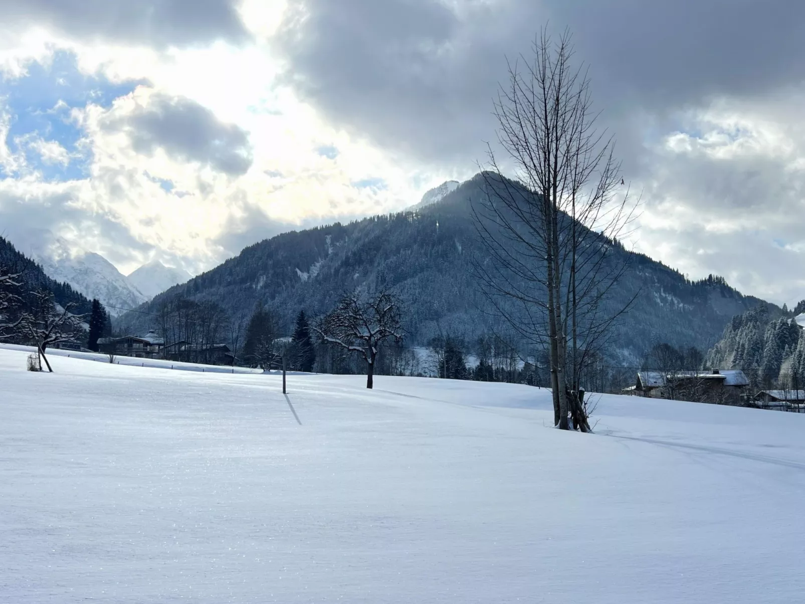 Ferienwohnung Daxer - Buiten