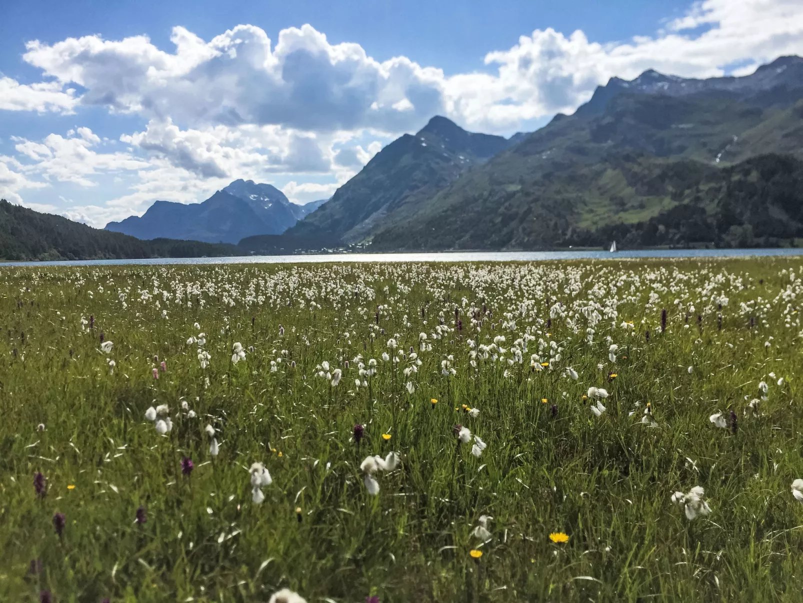 Chesa Cavril - Omgeving