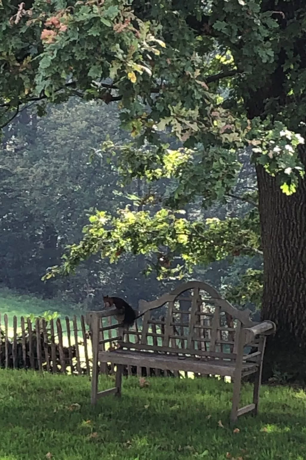 Gartenblick - Image-tags.info