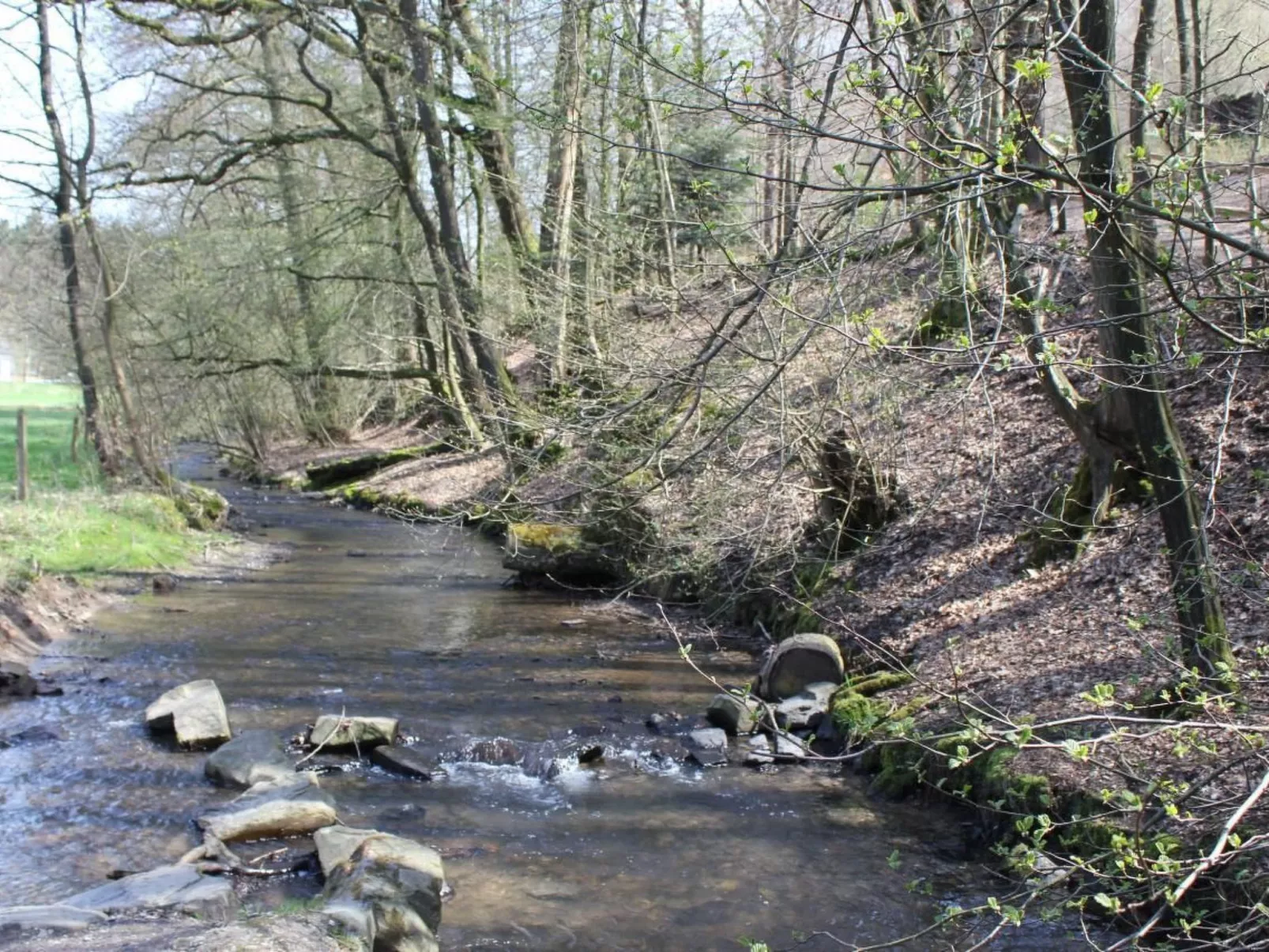 "zum Eifgental" - Image-tags.info