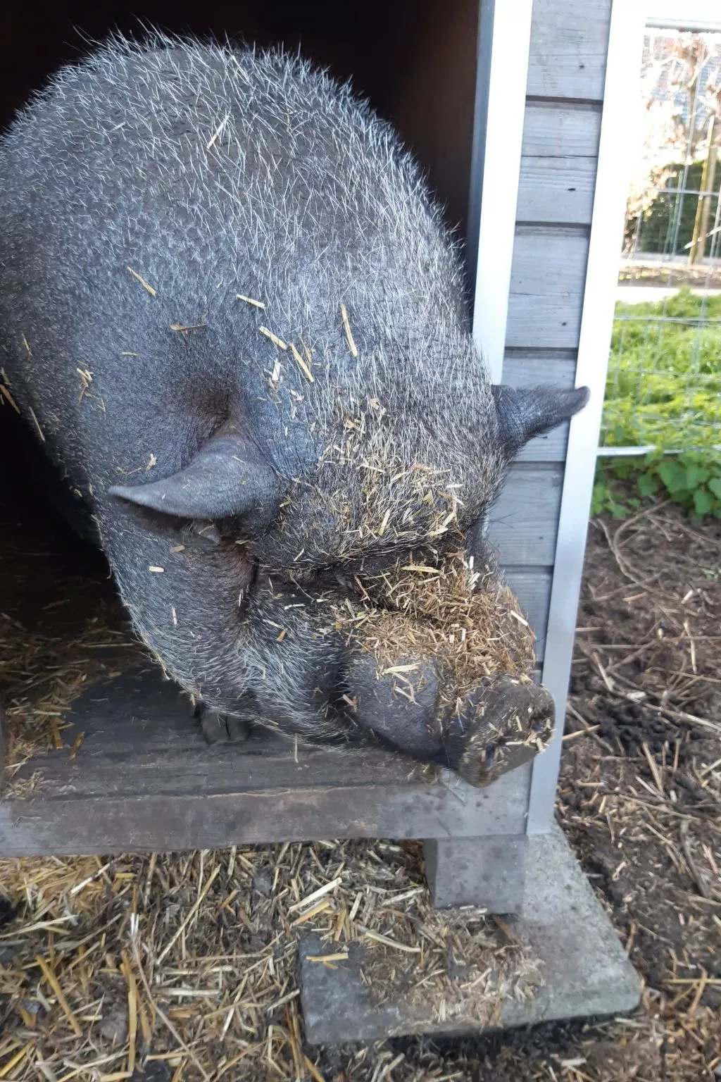 Appartement Meidoorn in Jabbeke - Image-tags.info