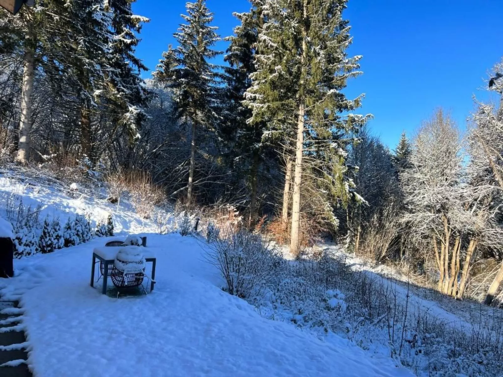 Fewo Am Sommerberg - Image-tags.info