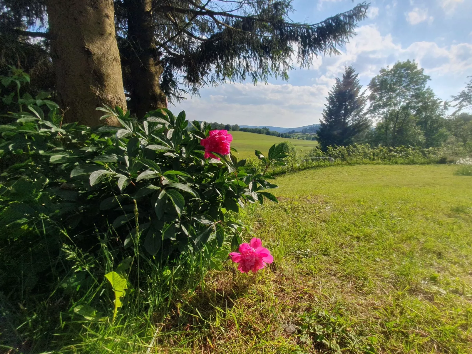 Haus Schneekopf - Image-tags.info