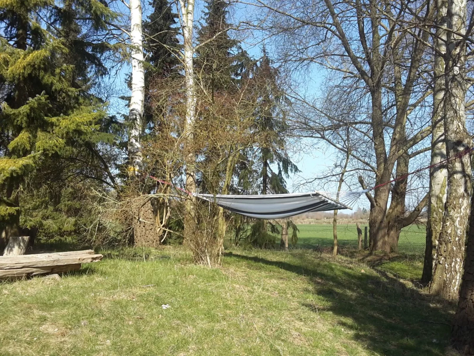 Wald Chalet Nr 1 - Image-tags.info