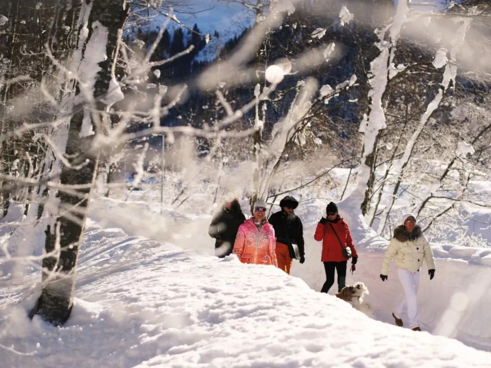 Parkareal Davos - Image-tags.info