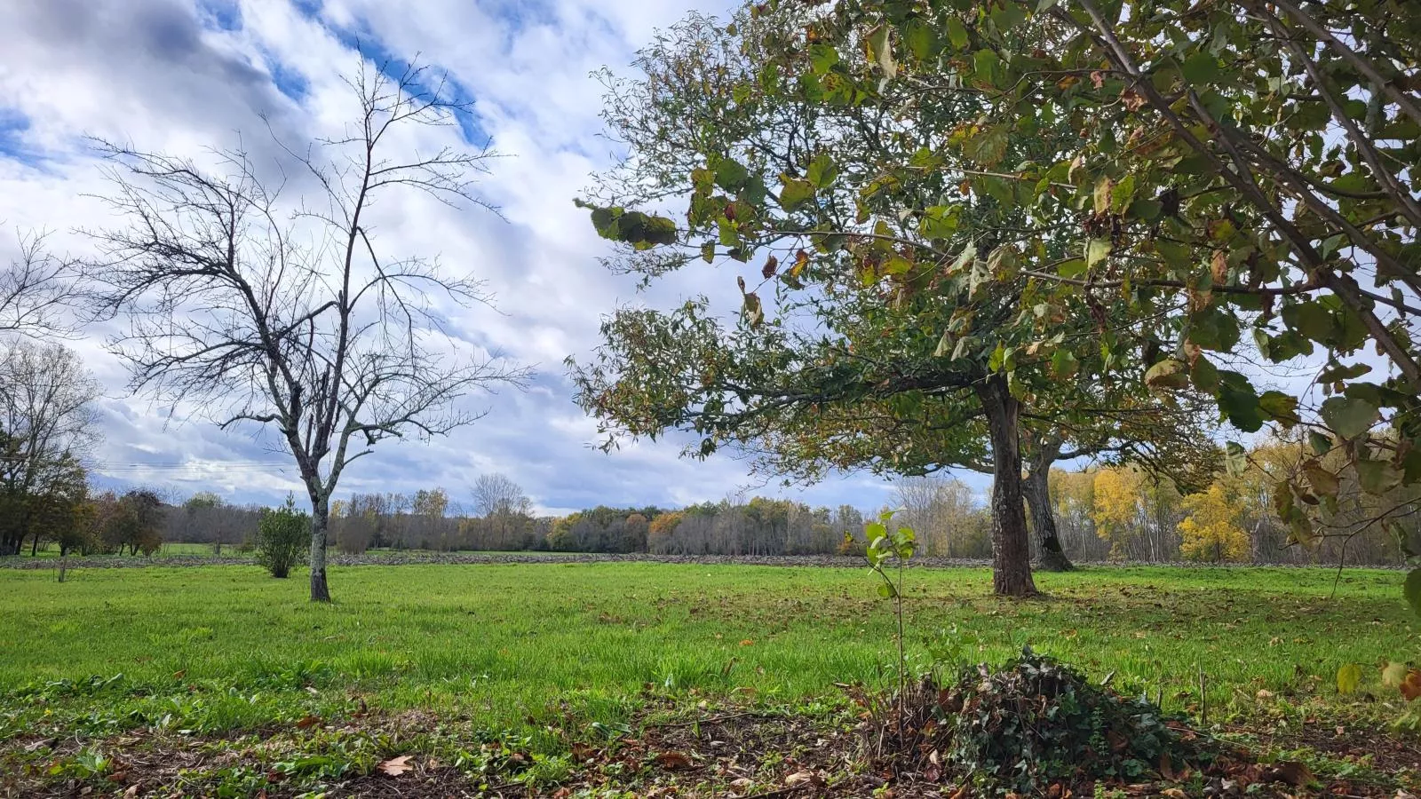 Maison des Prairies - Tuinen zomer