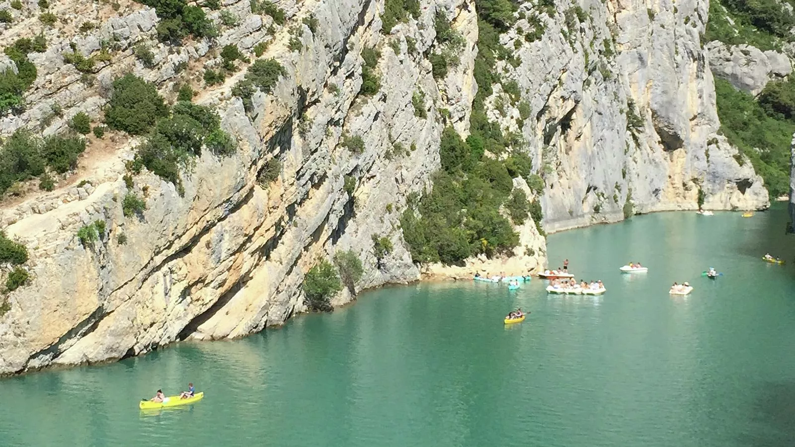 Lomandra - Gebieden zomer 20km