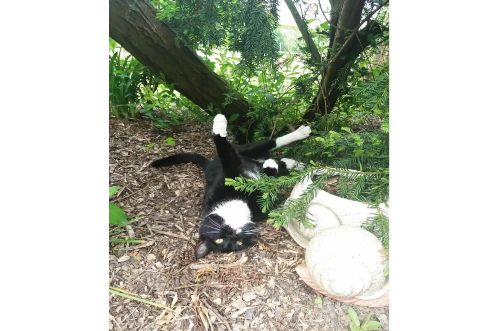 112041-Gebieden zomer 1km