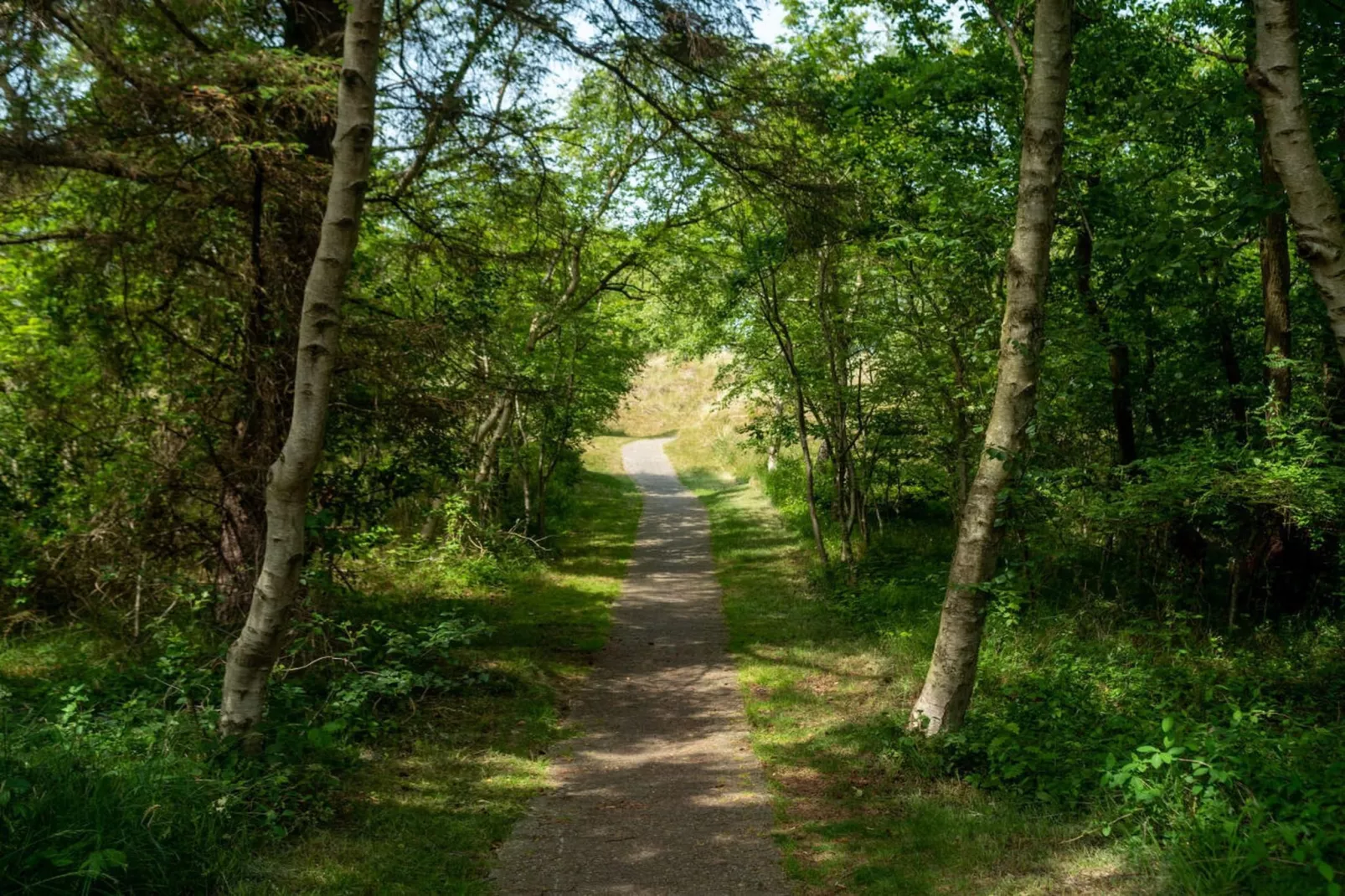 377693-Gebieden zomer 5km