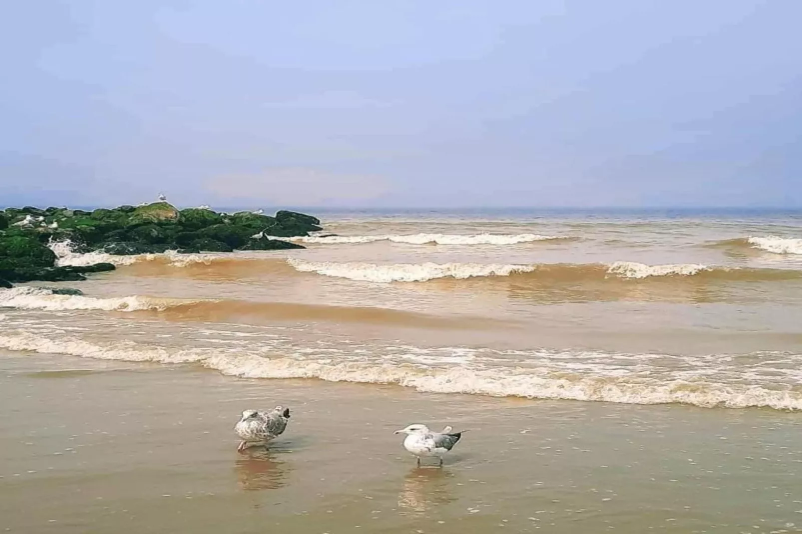 DE BRANDING 601-Gebieden zomer 20km